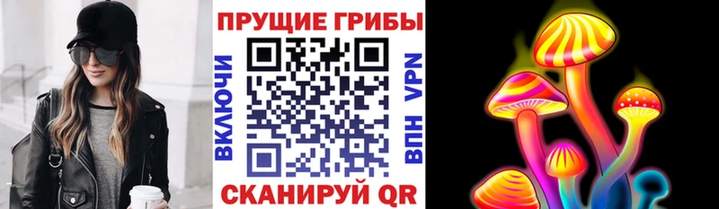 Галлюциногенные грибы Magic Shrooms  дарнет шоп  Тогучин 